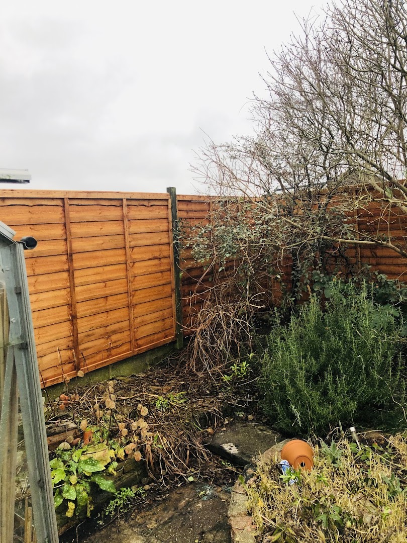 Richards handyman and gardening services — Photos 9